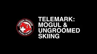 Telemark Mogul or Ungroomed Slope Skiing
