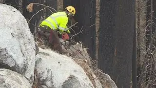 Flooding in Alpine County from rain on the Tamarack burn scar has El Dorado County worried about the
