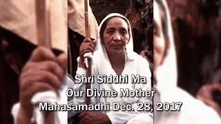 Siddhi Ma Mahasamadhi Video
