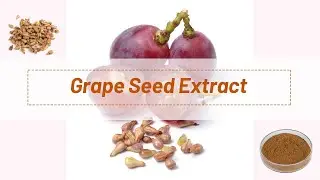 [Grape Seed Extract]Skin Benefits 80% 90% 95% Cosmetic Red Grape Seed Extract Powder