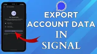 How Can You Export The Account Data On Signal