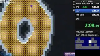 Cat Ninja- Any% NLS World Record (No Boss Skip)