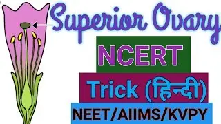#SuperiorOvary #NCERT #NEET Superior Ovary(Hypogynous Ovary) hindi Trick|हायपोगाइनस अंडाशय|class 11