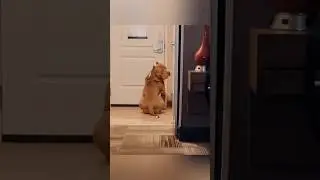 Этот американский хулиган скучает по своему отцу 🥺