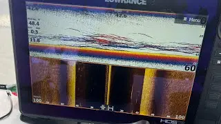 Dead sticking for stripers in the winter on lake Texoma