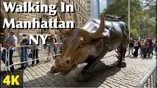 Walking In Manhattan | Charging Bull | Wall Street | New York Stock Exchange | Fearless Girl