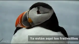 Espectacular colonia de aves marinas