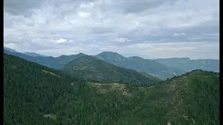 Summit Park UT | Summer
