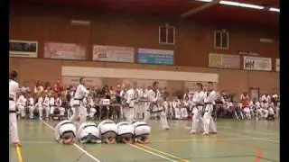Tang Soo Do Wahing Lee and Lester Sommer board break Open Dutch Chamionships 2006 Delft