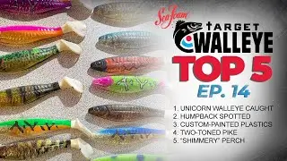 Target Walleye's Top 5 of the Week! 🔥 (Ep 14)