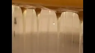 Thirsty Squirrel Farm & Apiary 2021 Spring Honey Extraction