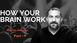  Part 1 - How Your Brain Work |Andrew HUBERMAN | #motivation | #students |