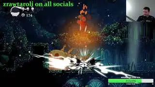 ZRAW STILL HANGING IN GREENPATH (Hollow Knight part 8)