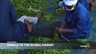 VANILLA TO THE GLOBAL MARKET