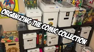 Organizing My Entire Comic Book Collection | How I Do It