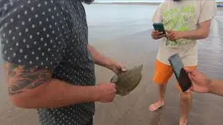 Turtles, Fish, Fire and Rain/Family Trip Elephant Butte Lake NM