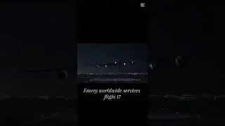 Emery worldwide flight 17