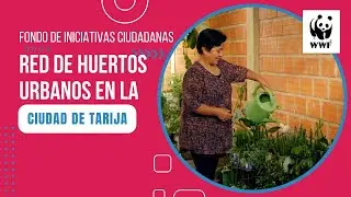 🥦 Red de HUERTOS URBANOS en la ciudad de Tarija 🌿 | Bolivia