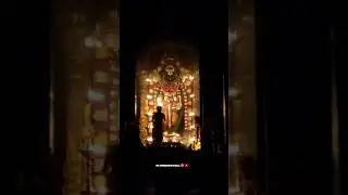 Tirupati Tirumala Venkateswara Live Darshan 2023 | Vaikunta Ekadasi Darshan 2023 #shorts