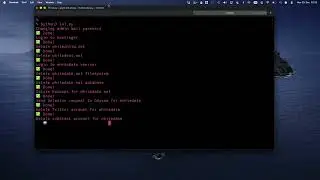 Hacker vestida de cosplay de Power Ranger derruba aplicativo de namoro racista ao vivo
