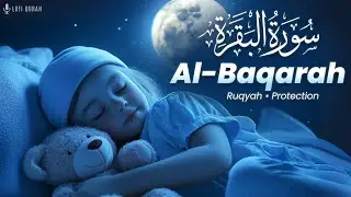 Surah Al-Baqarah (سورة البقرة) | Lofi Quran Peaceful Heart Recitation | #surahbaqarah