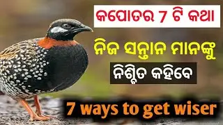 ଜ୍ଞାନବାର୍ଦ୍ଧକ 7 ଟି କଥା | Seven ways to get wiser your child | Odia Powerful Motivational video