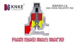 How Steam Traps Work | KNKE Thermodynamic & Mechanical Steam Trap Principle Explained