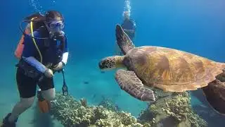 Scuba Diving For Beginners In Maui