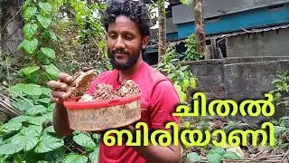ചിതൽ ബിരിയാണി mohd farook seeyar
