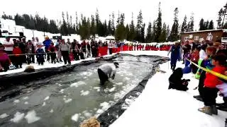 Badger Pass Spring Fest 2011 Pond Skimming
