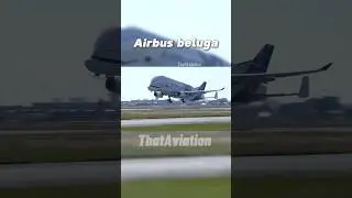 Planes that are rarer than you think 🤯 #shorts #avaition #avgeek #airport #beluga #airbus #edit