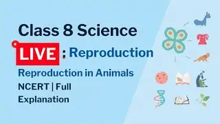 Class 8 Science Live | Chapter 6 Reproduction in Animals | NCERT | Full Explanation
