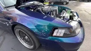 MYSTIC TERMINATOR COBRA MUSTANG