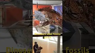 When Dino&rsquo;s meet fossils part 3 #musuem #fossil #dinosaur #losangeles #animation #cgi #filmmaker