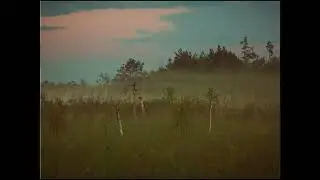 [FREE] Dark Acoustic Indie Folk Type Beat - Graves