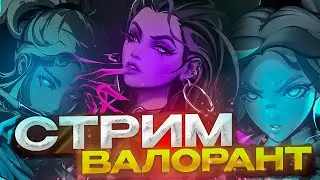 Тестим новую мышку || Valorant || Stream