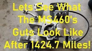 Ms460's Reed Was Leaking! So Lets See What Is Inside After 1424.7Miles!