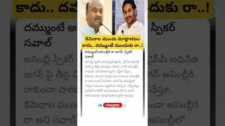 AP speaker ayyanna patrudu comments on YS Jagan