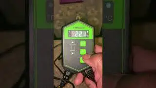 Heat Mat With Thermostat For Rooting Fig Cuttings