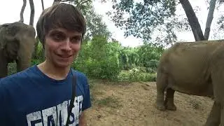 Thailand #9 - Elephant Haven, zabawa ze słoniami