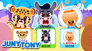 Baby Animals Got Lost | Where is Your Mommy? | +More Kids Songs | Cartoon | JunyTony