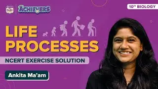 Life Processes Class 10 Question and Answer| Chapter 5 Science NCERT Exercise