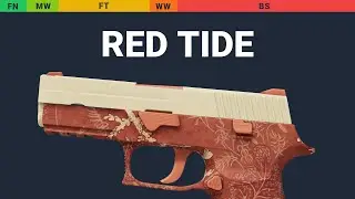 P250 Red Tide - Skin Float And Wear Preview