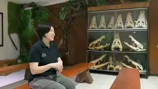 JONG CROCODILE FARM VLOG I 1st VIDEO FOR KKJ SEMBANG 2025