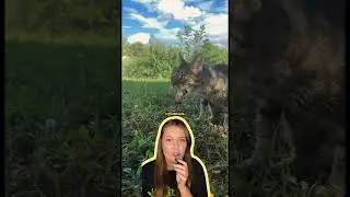 Зубную пасту беру на вб👉#WW253906  (Копируй и вставляй артикул вместе с буквами)🐾