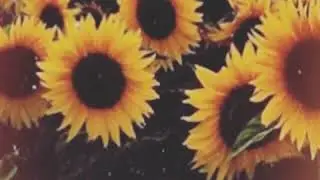TYLER THE CREATOR FLOWER BOY TYPE BEAT