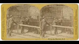 Curious City: Chicago's long-forgotten zoo