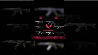 The best vandal skins #skins #valorant  #edit