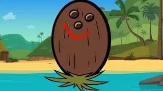 You Reposted In The Wrong Mr. Coconut