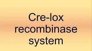 Cre-lox Recombinase System Pronunciation | How to Say | How to Pronounce